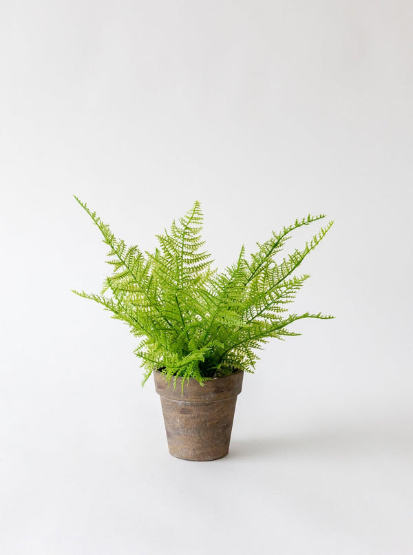 Faux Paper Mache Potted Fern - HJGRN0001 - OS
