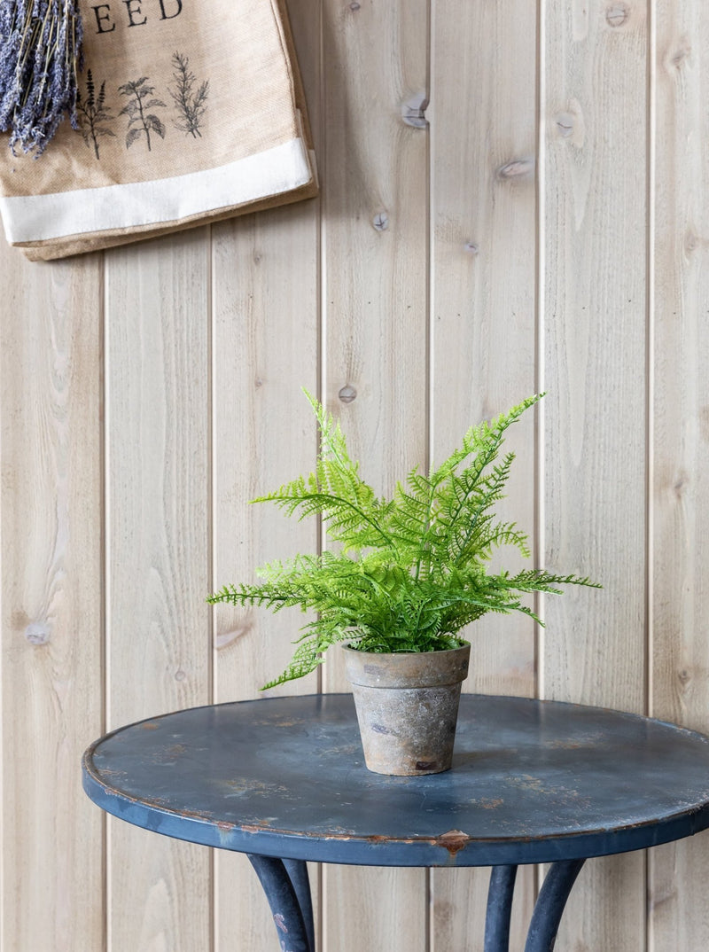 Faux Paper Mache Potted Fern - HJGRN0001 - OS