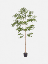 Faux Shady Lady Tree - HJGRN00107 - 9