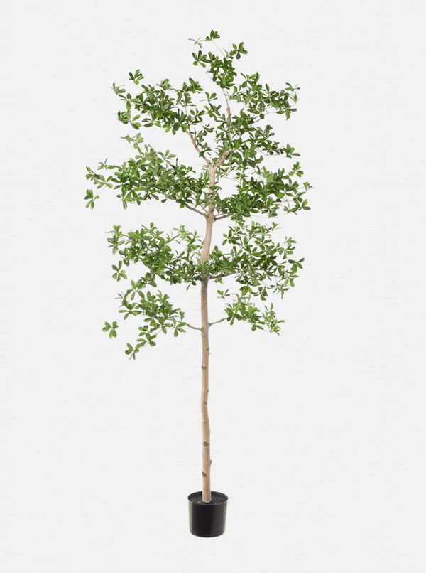Faux Shady Lady Tree - HJGRN00107 - 6