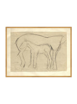 Foal Sketch - HJART0183 - GLD - 30x40