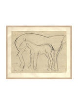 Foal Sketch - HJART0183 - OAK - 24x30