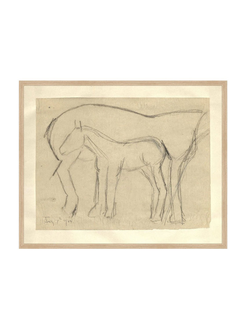 Foal Sketch - HJART0183 - OAK - 24x30