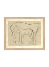 Foal Sketch - HJART0183 - OAK - 11x14