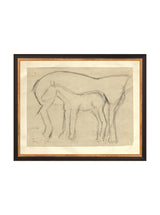 Foal Sketch - HJART0183 - BGD - 11x14