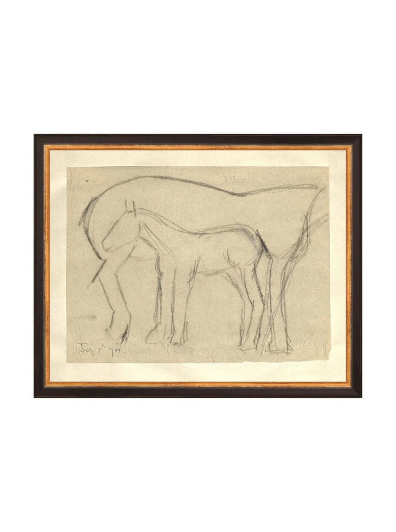 Foal Sketch - HJART0183 - BGD - 11x14