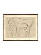 Foal Sketch - HJART0183 - BGD - 30x40