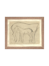 Foal Sketch - HJART0183 - WNT - 8x10