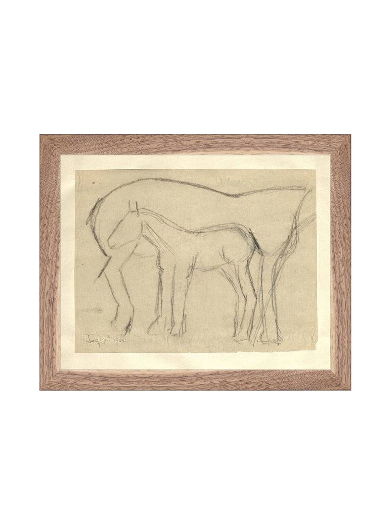 Foal Sketch - HJART0183 - WNT - 8x10