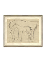 Foal Sketch - HJART0183 - SIL - 16x20