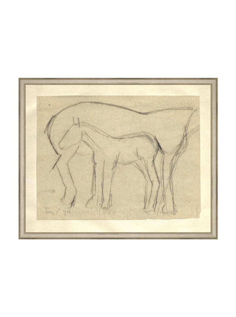 Foal Sketch - HJART0183 - SIL - 16x20