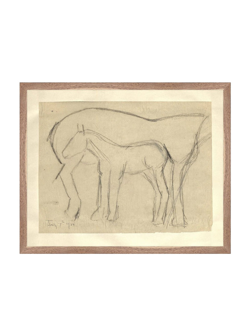 Foal Sketch - HJART0183 - WNT - 16x20