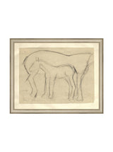 Foal Sketch - HJART0183 - SIL - 11x14