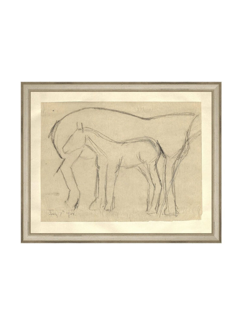 Foal Sketch - HJART0183 - SIL - 11x14