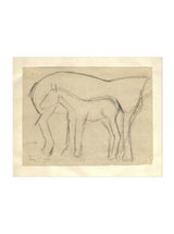 Foal Sketch - HJART0183 - UF - 8x10
