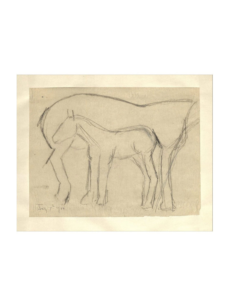 Foal Sketch - HJART0183 - UF - 8x10