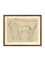 Foal Sketch - HJART0183 - BGD - 16x20