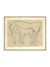 Foal Sketch - HJART0183 - SIL - 24x30
