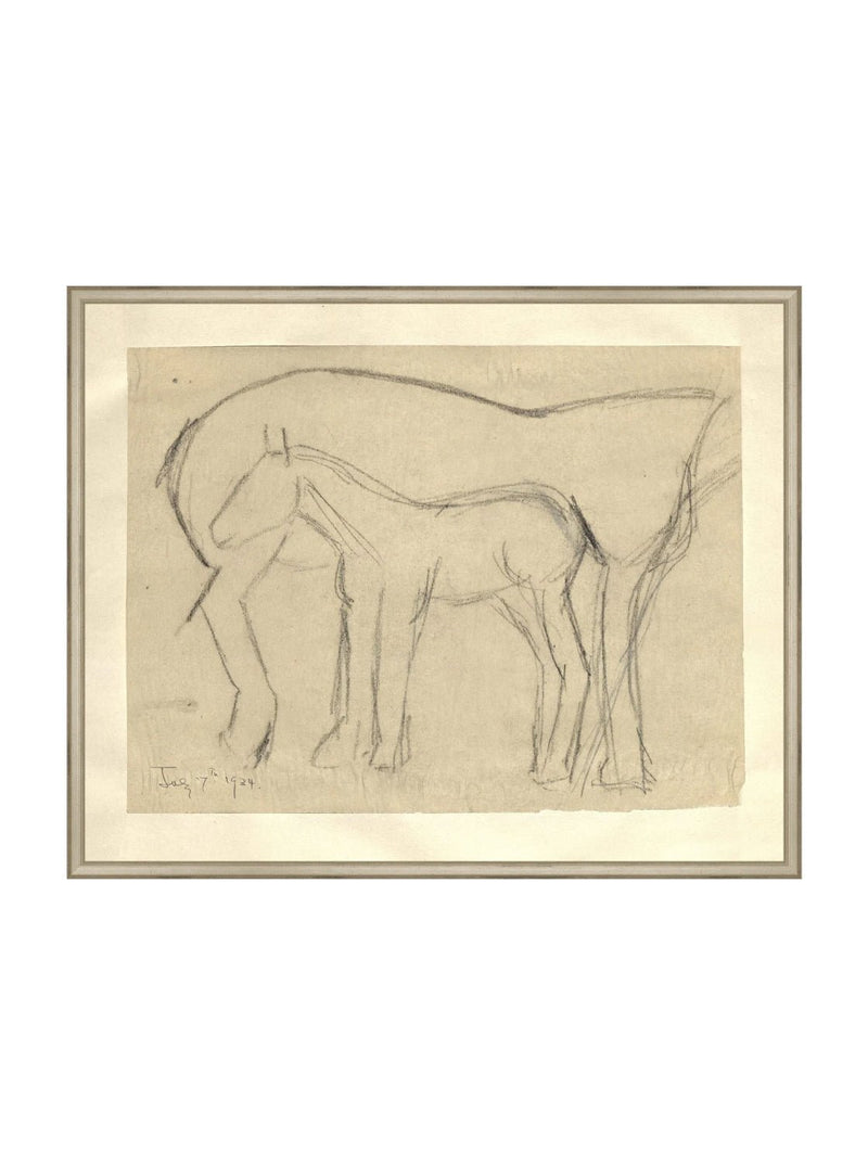 Foal Sketch - HJART0183 - SIL - 24x30