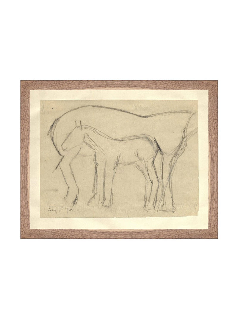 Foal Sketch - HJART0183 - WNT - 11x14