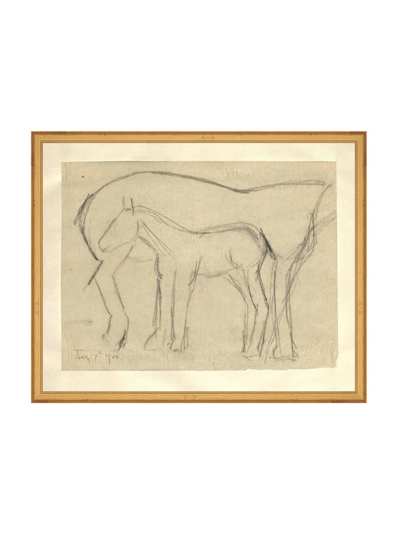 Foal Sketch - HJART0183 - GLD - 16x20