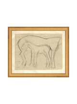 Foal Sketch - HJART0183 - GLD - 8x10