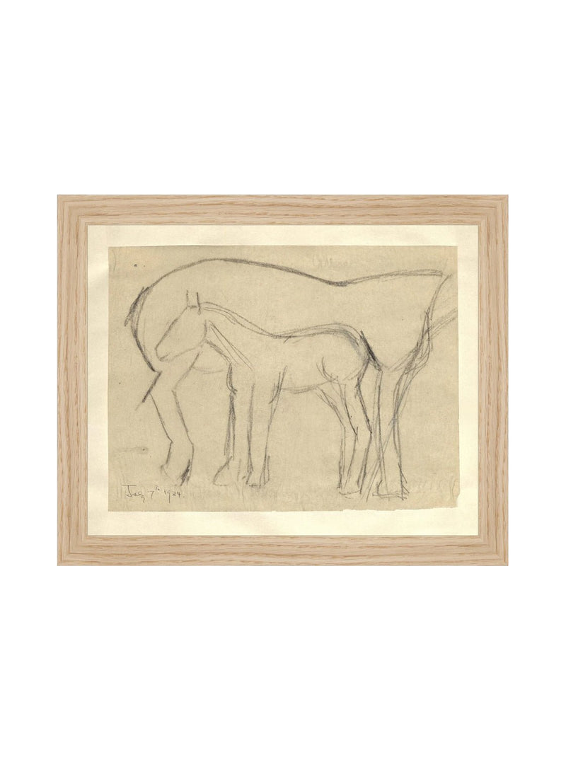 Foal Sketch - HJART0183 - OAK - 8x10