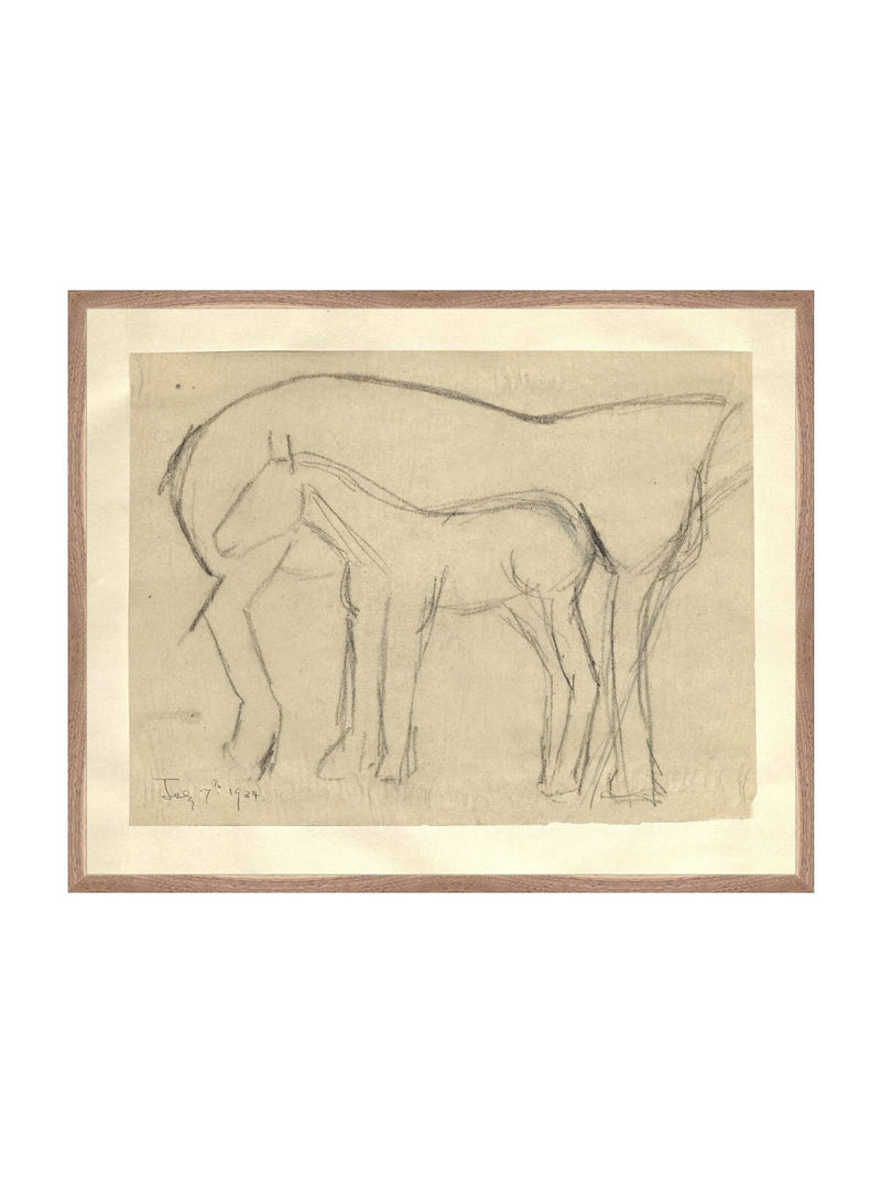 Foal Sketch - HJART0183 - WNT - 24x30