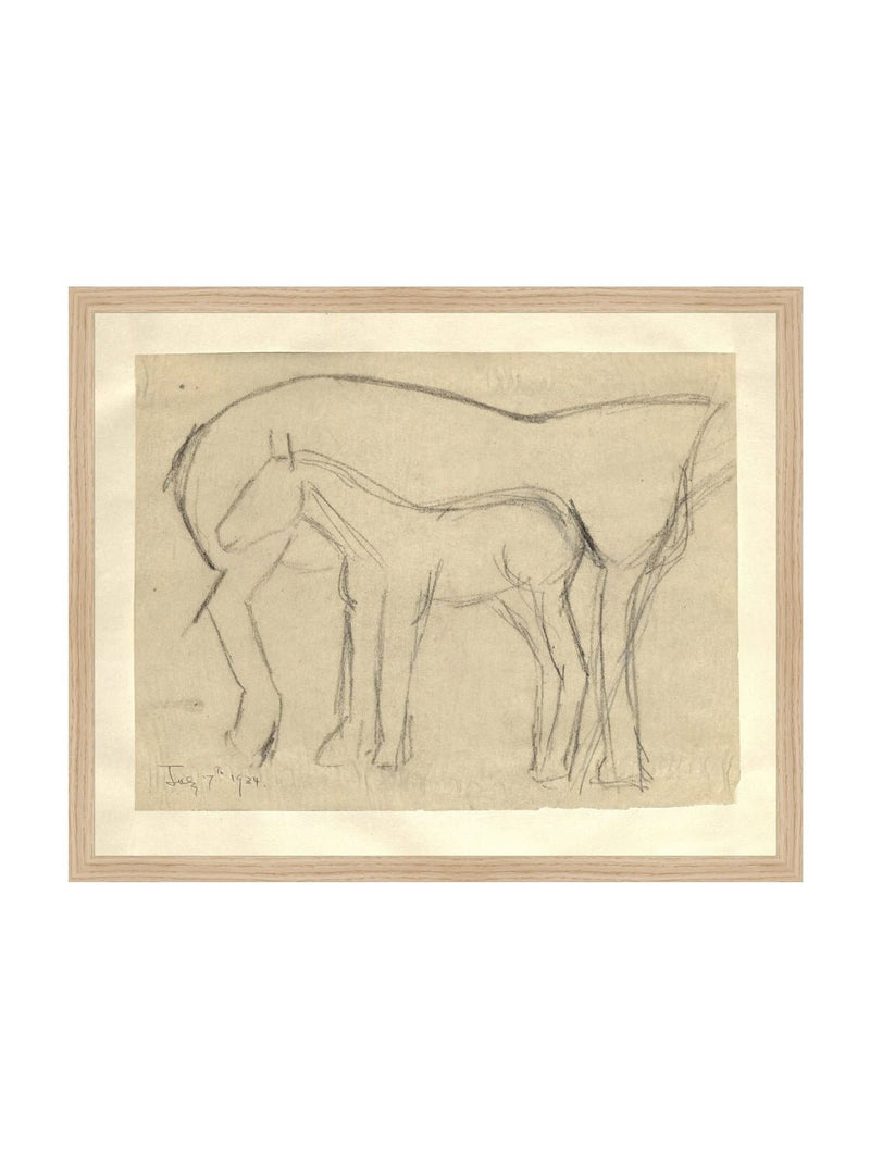 Foal Sketch - HJART0183 - OAK - 16x20