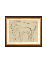 Foal Sketch - HJART0183 - BGD - 8x10