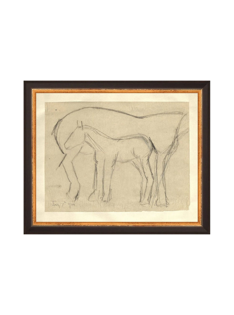Foal Sketch - HJART0183 - BGD - 8x10