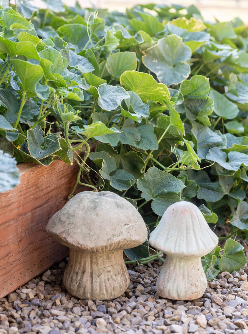 Garden Mushroom - HJGAR0009 - S