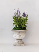 Garden Urns - HJDCR0368 - L