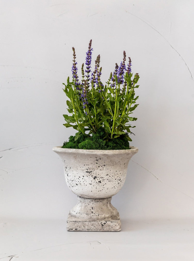 Garden Urns - HJDCR0368 - L