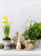 Garden Urns - HJDCR0368 - S