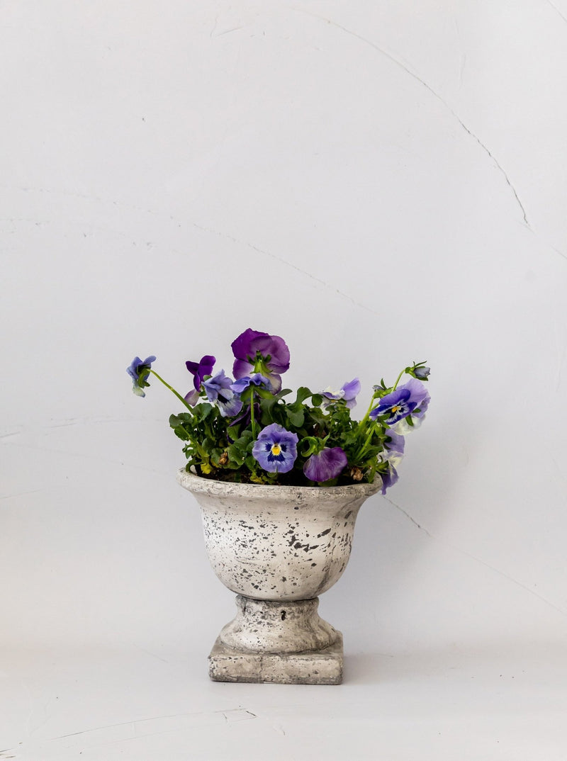 Garden Urns - HJDCR0368 - L