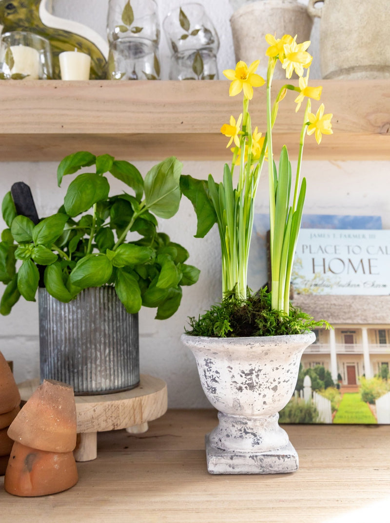 Garden Urns - HJDCR0368 - S