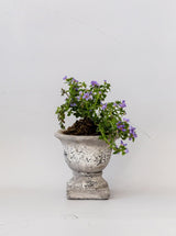 Garden Urns - HJDCR0368 - L