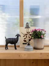 Thumbnail for picture #2