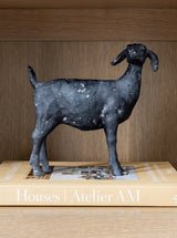 Thumbnail for picture #3