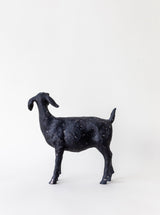 Thumbnail for picture #5