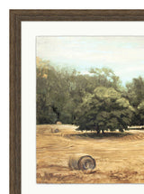 Thumbnail for picture #3