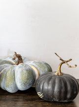 Heirloom Pumpkins | Set of 5 - HJDCR0255 - SET