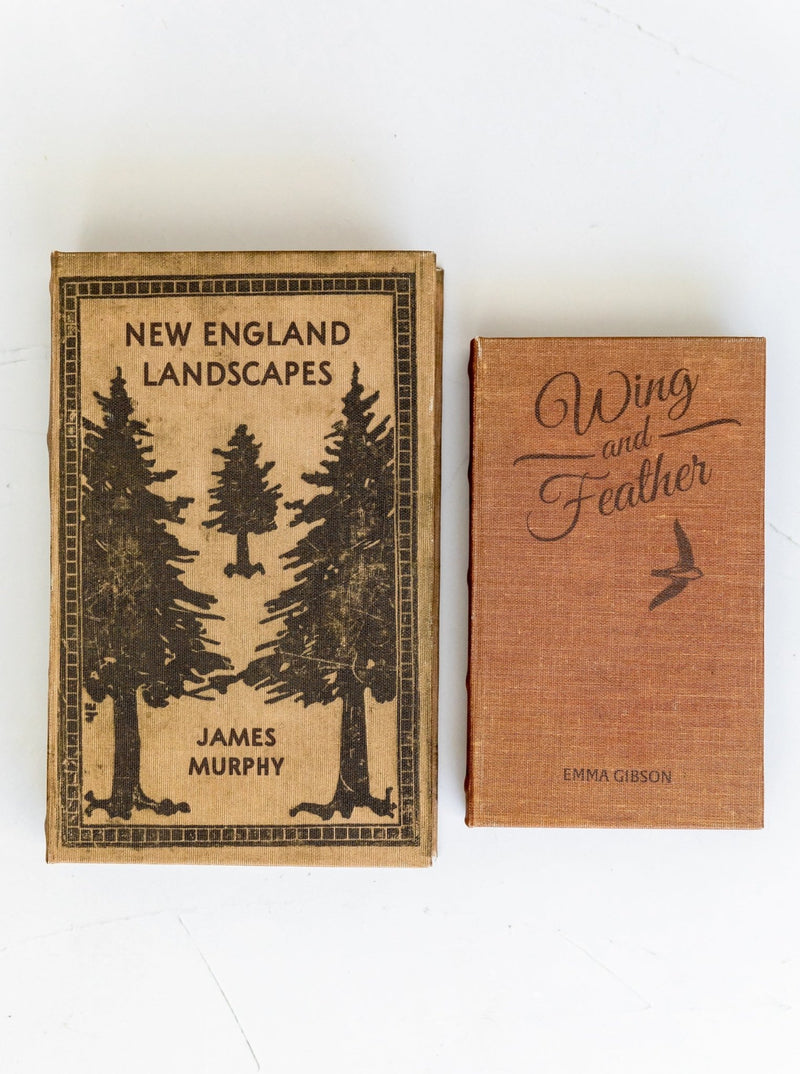 Landscapes Book Box | Set of 2 - HJDCR0132 - SET