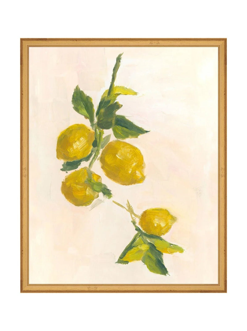 Lemons - HJART0229 - GLD - 16X20