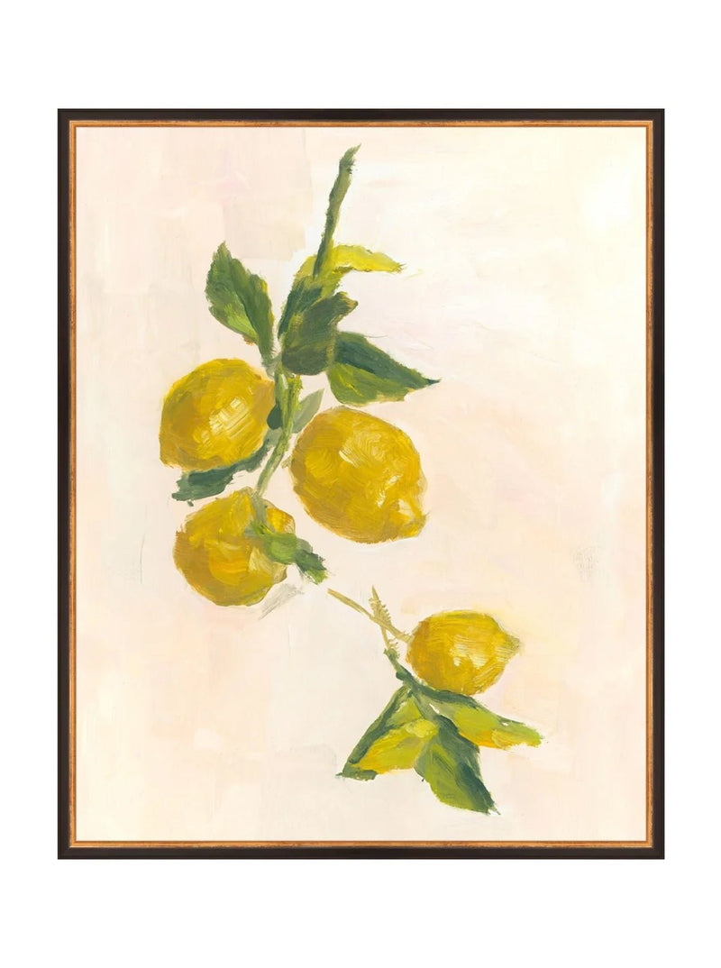 Lemons - HJART0229 - BGD - 24X30