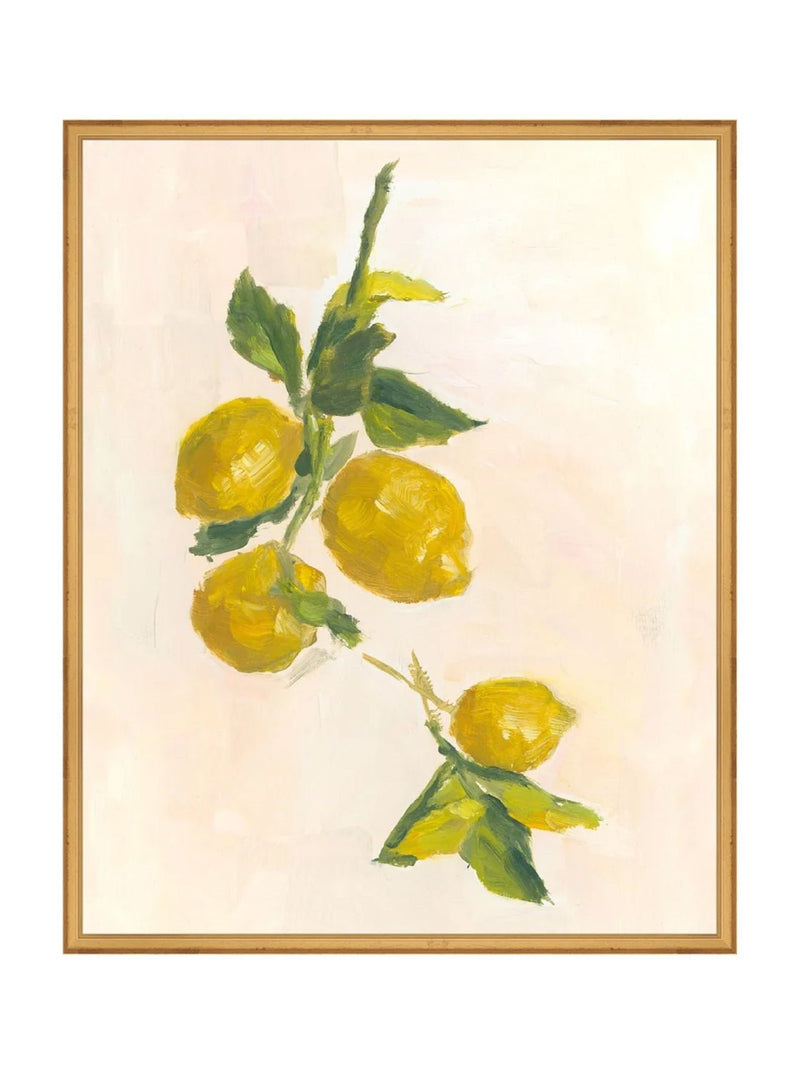 Lemons - HJART0229 - GLD - 24X30