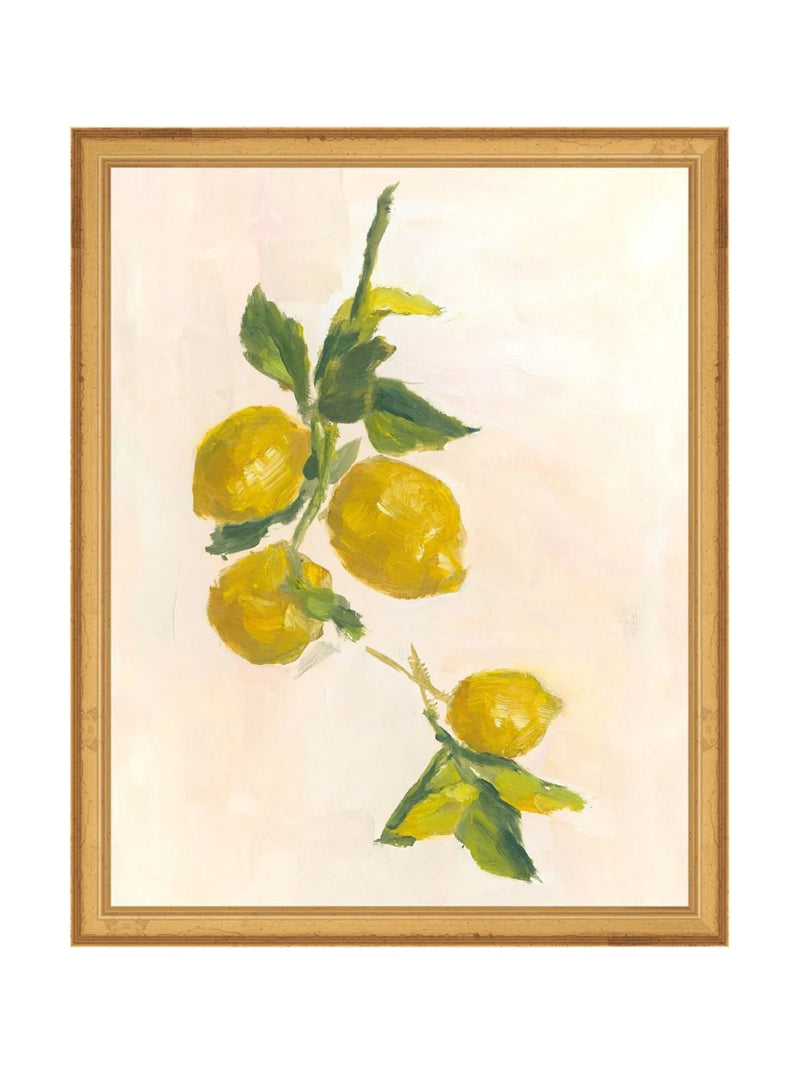 Lemons - HJART0229 - GLD - 11X14