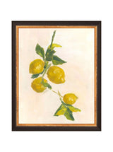 Lemons - HJART0229 - BGD - 8X10