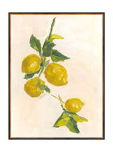 Lemons - HJART0229 - BGD - 30X40